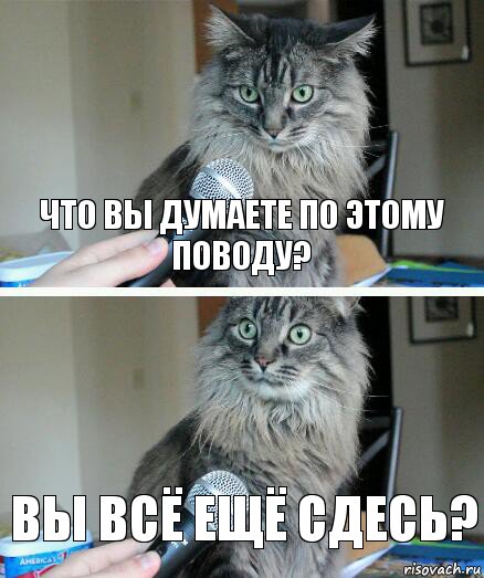 Что вы думаете по этому поводу? Вы всё ещё сдесь?, Комикс  кот с микрофоном