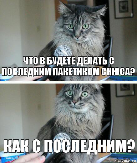 ЧТО В БУДЕТЕ ДЕЛАТЬ С ПОСЛЕДНИМ ПАКЕТИКОМ СНЮСА? КАК С ПОСЛЕДНИМ?, Комикс  кот с микрофоном