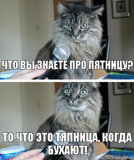 Что вы знаете про пятницу? То что это тяпница, когда бухают!, Комикс  кот с микрофоном