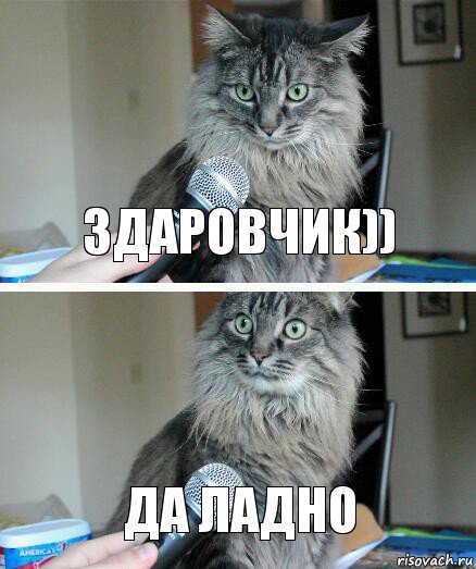 зДАРОВЧИК)) да ладно, Комикс  кот с микрофоном