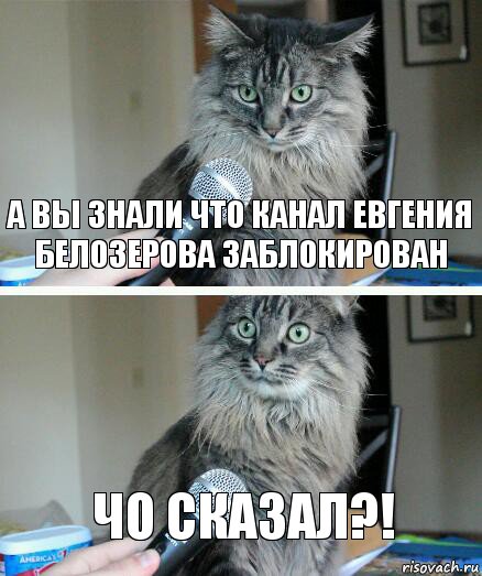 А вы знали что канал Евгения Белозерова заблокирован ЧО СКАЗАЛ?!, Комикс  кот с микрофоном