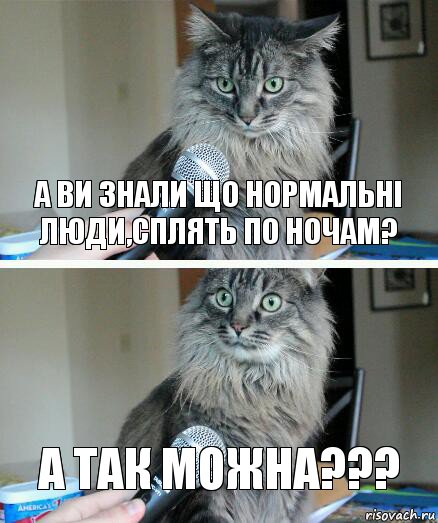 а ви знали що нормальні люди,сплять по ночам? а так можна???, Комикс  кот с микрофоном