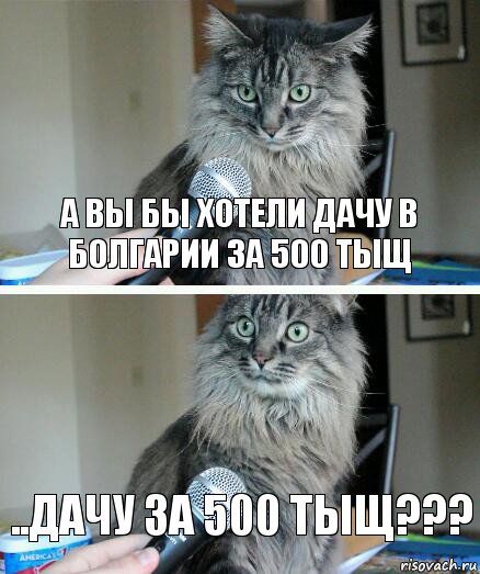 А вы бы хотели дачу в Болгарии за 500 тыщ ..дачу за 500 тыщ???, Комикс  кот с микрофоном