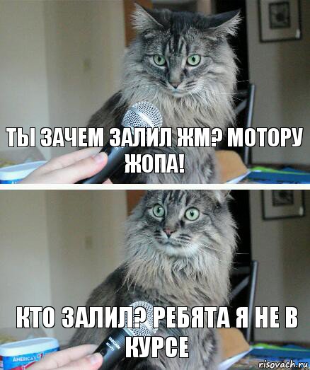 ты зачем залил ЖМ? мотору жопа! кто залил? ребята я не в курсе, Комикс  кот с микрофоном