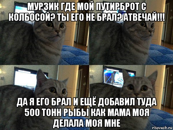 мурзик где мой путирброт с колбосой? ты его не брал? атвечай!!! да я его брал и ещё добавил туда 500 тонн рыбы как мама моя делала моя мне, Мем  Кот в шоке