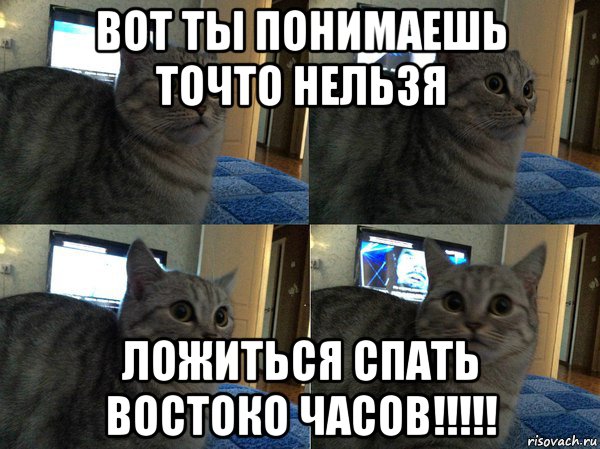 вот ты понимаешь точто нельзя ложиться спать востоко часов!!!!!, Мем  Кот в шоке