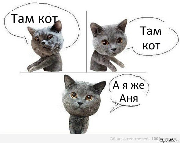 Там кот Там кот А я же Аня