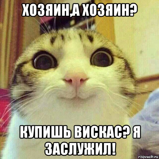 хозяин,а хозяин? купишь вискас? я заслужил!, Мем       Котяка-улыбака