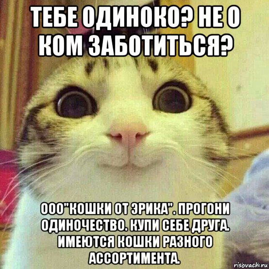 тебе одиноко? не о ком заботиться? ооо"кошки от эрика". прогони одиночество. купи себе друга. имеются кошки разного ассортимента., Мем       Котяка-улыбака