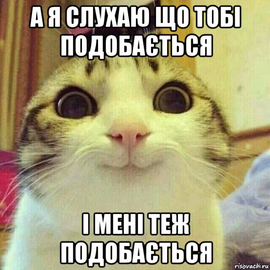 а я слухаю що тобі подобається і мені теж подобається, Мем       Котяка-улыбака