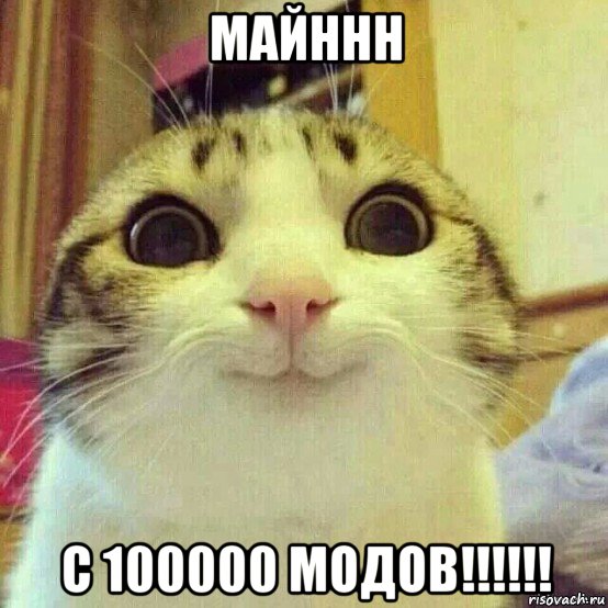 майннн с 100000 модов!!!!!!, Мем       Котяка-улыбака