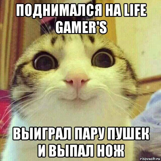 поднимался на life gamer's выиграл пару пушек и выпал нож, Мем       Котяка-улыбака