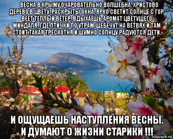 Стихотворение о крымской весне. Стих про Крым.