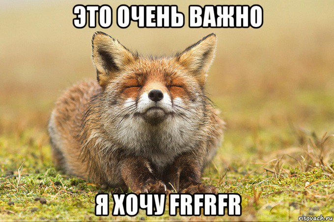 это очень важно я хочу frfrfr