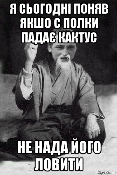 я сьогодні поняв якшо с полки падає кактус не нада його ловити, Мем Мудрий паца