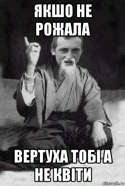 якшо не рожала вертуха тобі а не квіти, Мем Мудрий паца