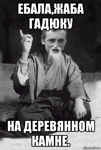 Жаба гадюка планы на вечер