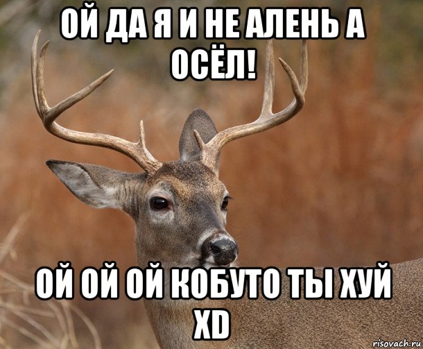 ой да я и не алень а осёл! ой ой ой кобуто ты хуй xd, Мем  Наивный Олень v2