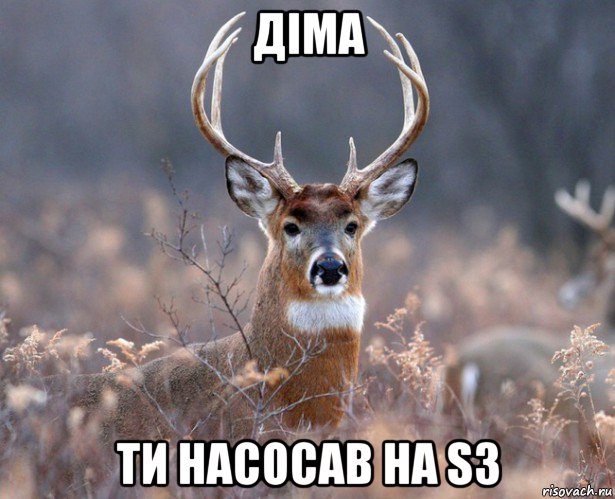 діма ти насосав на s3, Мем   Наивный олень