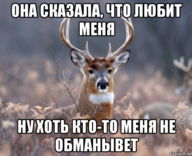 она сказала, что любит меня ну хоть кто-то меня не обманывет, Мем   Наивный олень