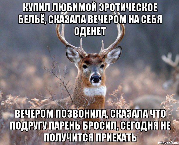 купил любимой эротическое бельё, сказала вечером на себя оденет вечером позвонила, сказала что подругу парень бросил, сегодня не получится приехать, Мем   Наивный олень