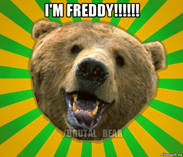 i'm freddy!!!!!! , Мем Нелепый медведь