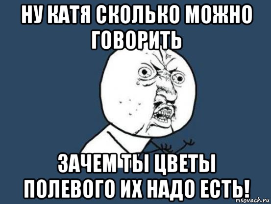 ну катя сколько можно говорить зачем ты цветы полевого их надо есть!, Мем Ну почему