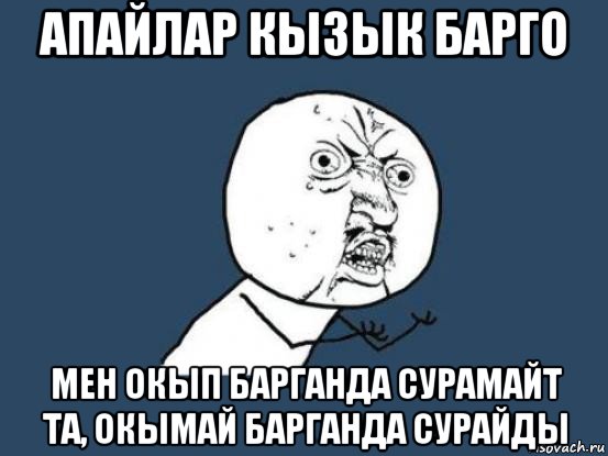 апайлар кызык барго мен окып барганда сурамайт та, окымай барганда сурайды, Мем Ну почему