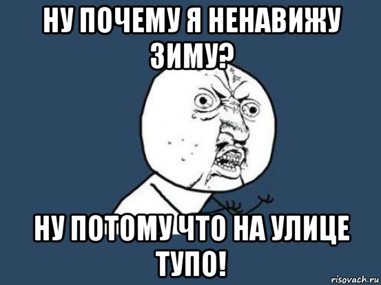 ну почему я ненавижу зиму? ну потому что на улице тупо!, Мем Ну почему