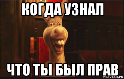 когда узнал что ты был прав, Мем Осел из Шрека