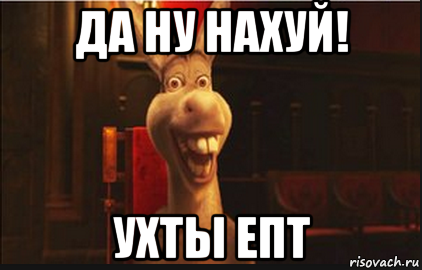 да ну нахуй! ухты епт, Мем Осел из Шрека