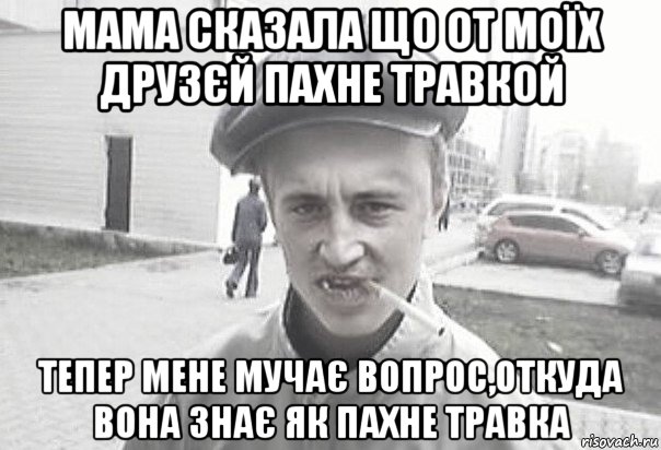 мама сказала що от моїх друзєй пахне травкой тепер мене мучає вопрос,откуда вона знає як пахне травка, Мем Пацанська философия