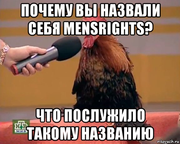 почему вы назвали себя mensrights? что послужило такому названию, Мем петух