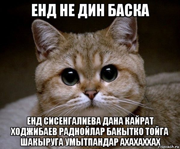 енд не дин баска енд сисенгалиева дана кайрат ходжибаев раднойлар бакытко тойга шакыруга умытпандар ахахаххах, Мем Пидрила Ебаная