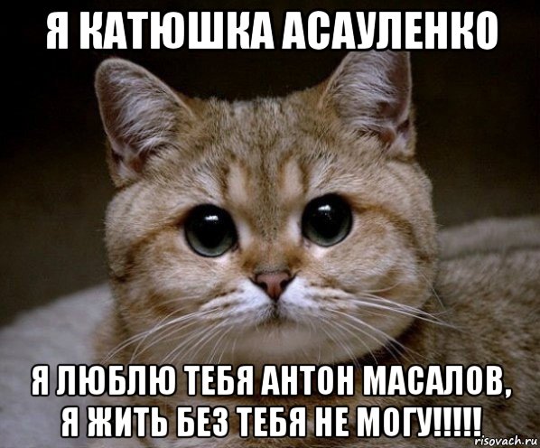 я катюшка асауленко я люблю тебя антон масалов, я жить без тебя не могу!!!!!, Мем Пидрила Ебаная