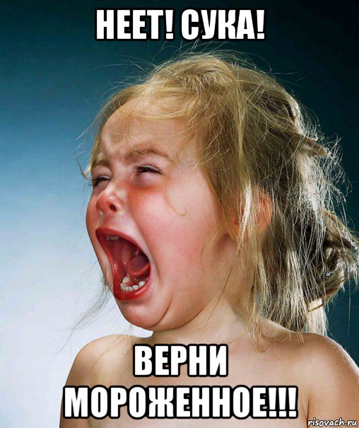 неет! сука! верни мороженное!!!, Мем Плачущая девочка