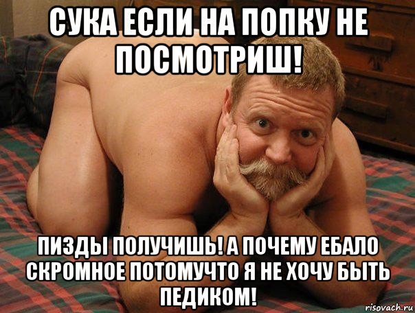 сука если на попку не посмотриш! пизды получишь! а почему ебало скромное потомучто я не хочу быть педиком!, Мем прив че делаешь