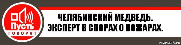 Челябинский медведь.
Эксперт в спорах о пожарах., Комикс   пусть говорят