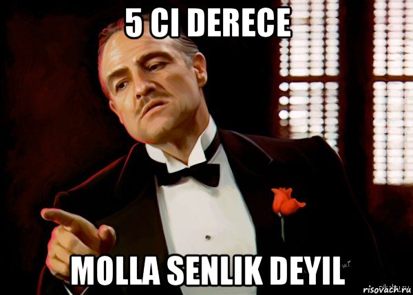 5 ci derece molla senlik deyil