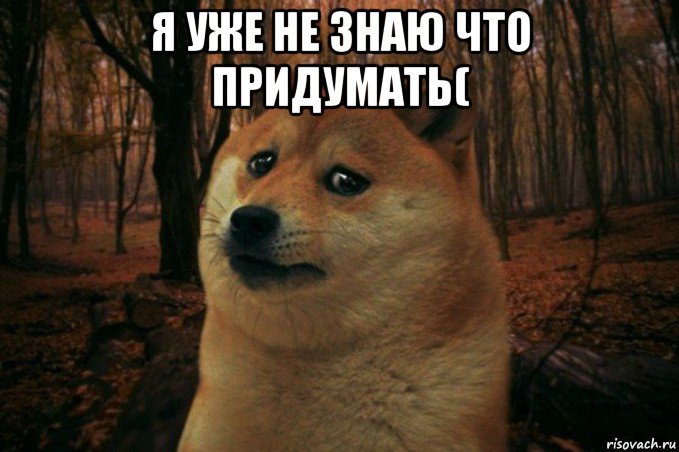 я уже не знаю что придумать( , Мем SAD DOGE