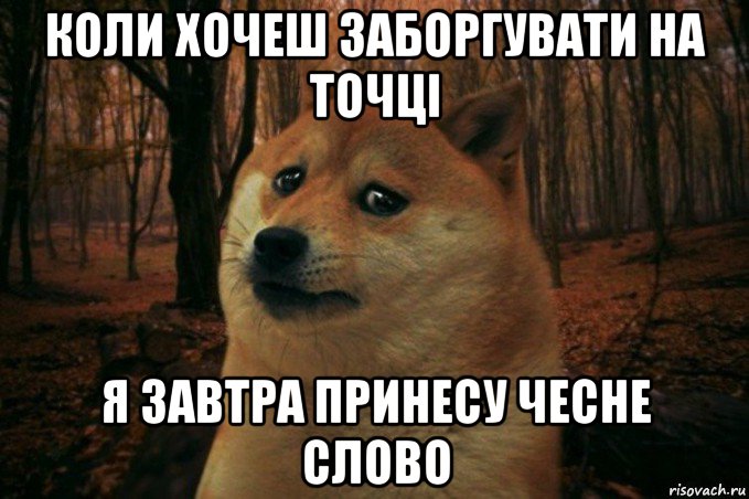 коли хочеш заборгувати на точці я завтра принесу чесне слово, Мем SAD DOGE