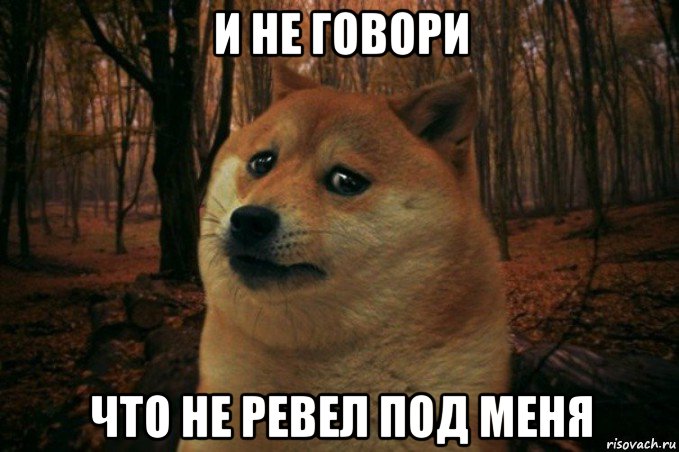 и не говори что не ревел под меня, Мем SAD DOGE