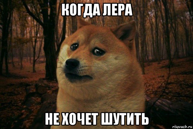 когда лера не хочет шутить, Мем SAD DOGE