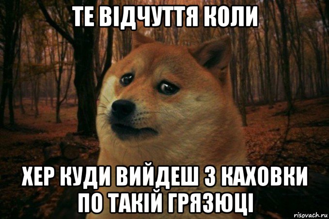 те відчуття коли хер куди вийдеш з каховки по такій грязюці, Мем SAD DOGE