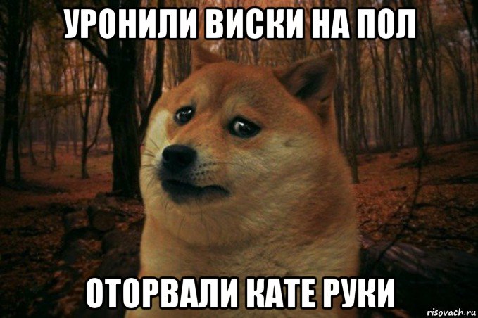 уронили виски на пол оторвали кате руки, Мем SAD DOGE