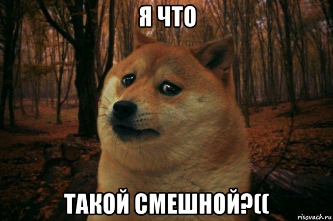 я что такой смешной?((, Мем SAD DOGE