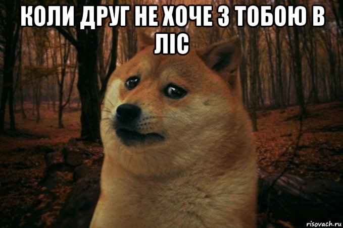 коли друг не хоче з тобою в ліс , Мем SAD DOGE