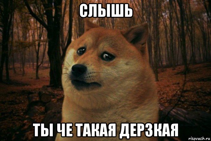 слышь ты че такая дерзкая, Мем SAD DOGE