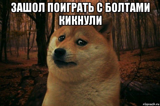 зашол поиграть с болтами кикнули , Мем SAD DOGE