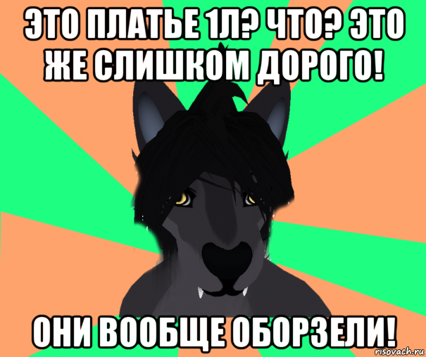 Шутки про свиней. Они вообще. Жирный котик мем. Они вообще. Одних животных любят а других едят.